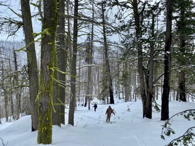 Skinning up the ridge of Beaver Mountain