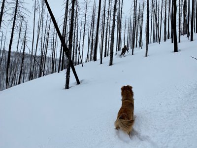 Tim making turns with Stony patiently waiting