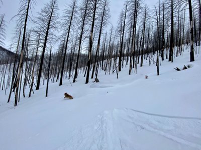 Tim making turns at the bottom
