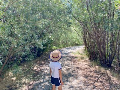 Walking on the LaChapelle Trail in Beebe Springs