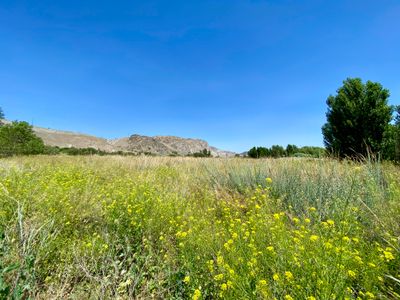 In search of some shade on this hot summer day
