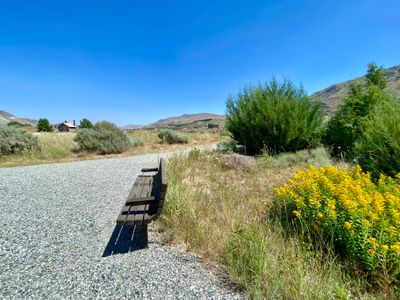 Bench in Beebe Springs