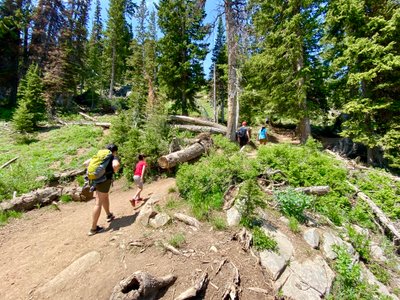Ascending the Bloods Lake Trail