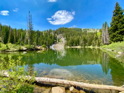 First view of Bloods Lake