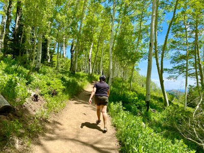 Final ascent to the road