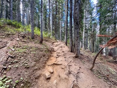 Heading up the Blue Lake trail