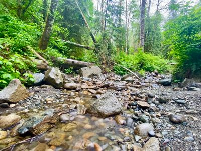 Small stream crossing