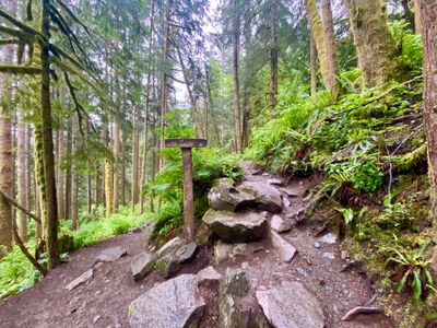 Trail junction for Serene Lake and Bridal Veil Falls