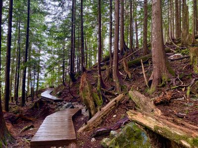 Raised wooden platform near the falls