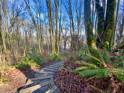 Nice pathway on the Ridge Trail