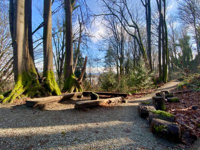 Small clearing at the start of the Hazelnut Loop