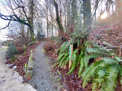 South Columbian Way entrance to Cheasty Greenspace