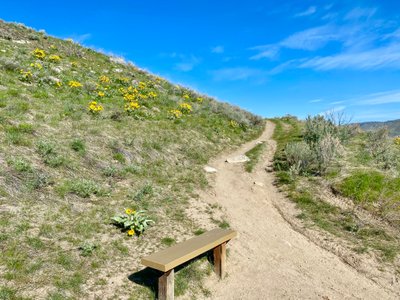First bench on the hike