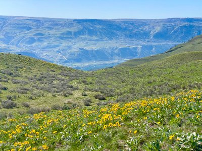 Columbia River below Chelan Butte Trail
