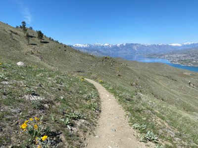 Heading down the Chelan Butte trail