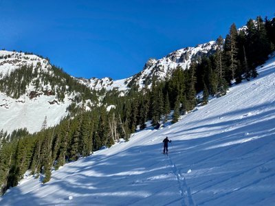 Open patch before heading up through thick trees