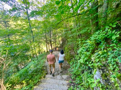 Heading down to Chittenango Falls