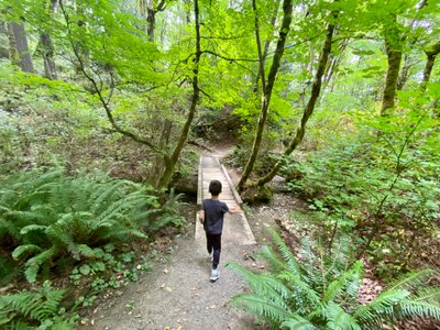 Crossing a small bridge on Red Town Creek Trail