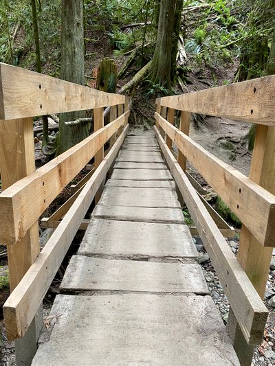 Bridge next to Coal Creek Falls