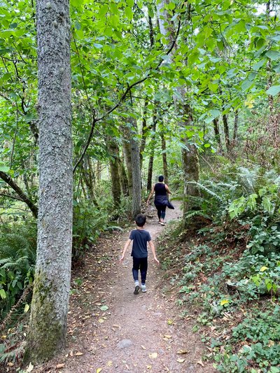 Walking along the Quarry Trail