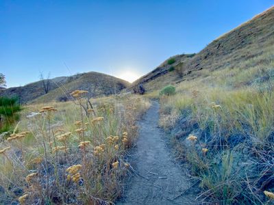 Ascending from the Chelan River