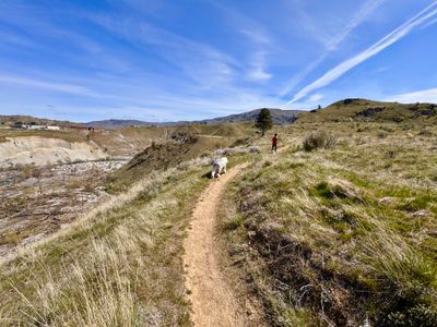My son and dog on Coyote Loop Trail