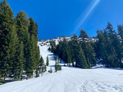 Slide path below Garfield Peak