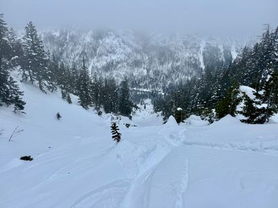 Looking down the gully