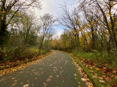 Walking along Texas Way