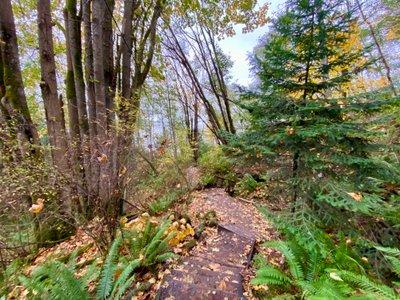 Going down the North Beach Trail