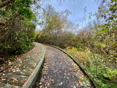 North Beach Trail at Discovery Park