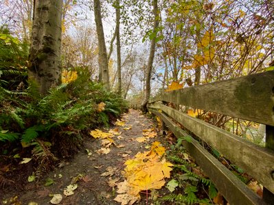 Start of the South Beach Trail