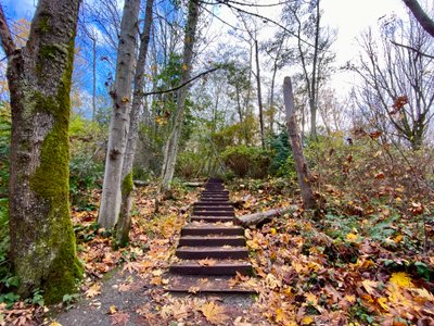 Heading up the South Beach Trail