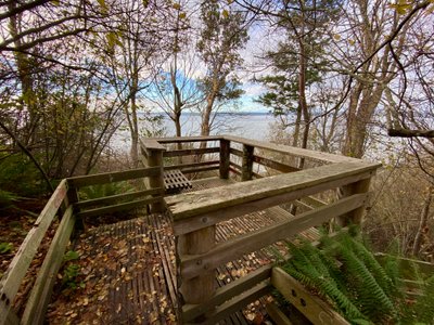 Viewing platform on the South Beach Trail