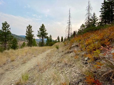 Lickety Split Trail
