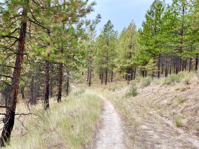 Far East Trail