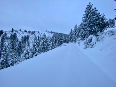 Heading up the Zoom trail