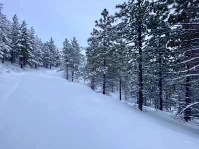 Crossing over Outback trail