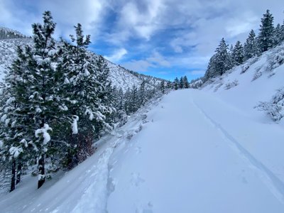 Skin track back up to Zoom trail