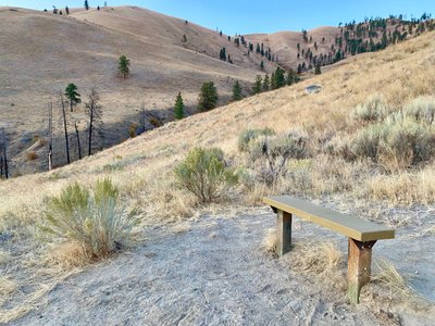 Bench for a rest