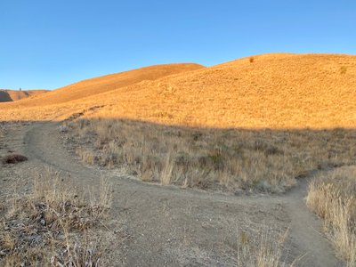 Chelan Butte and Elephant Head trail junction