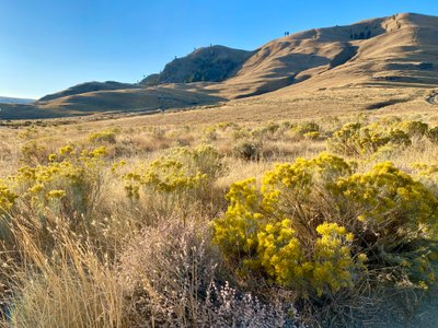 Looking back up at Elephant Head