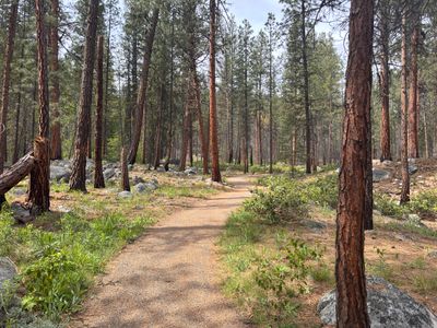 Start of the trail