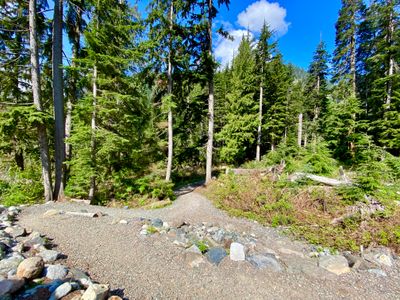 Gravel trail to Franklin Falls trail head