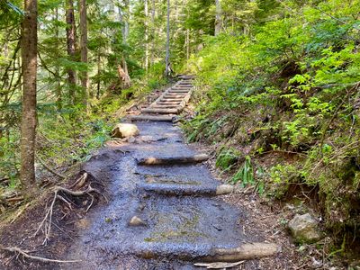 Muddy section on the Franklin Falls trail