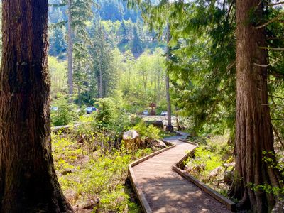 Trail to the parking lot