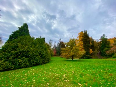 Walking through Leschi Park