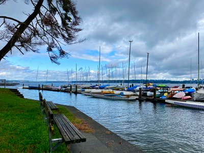 Leschi Marina