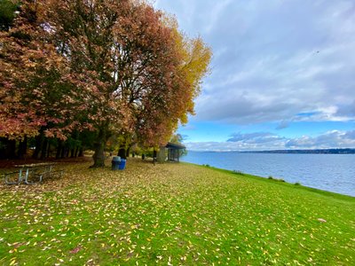 Madrona Park