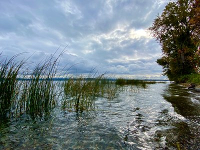 Lake Washington